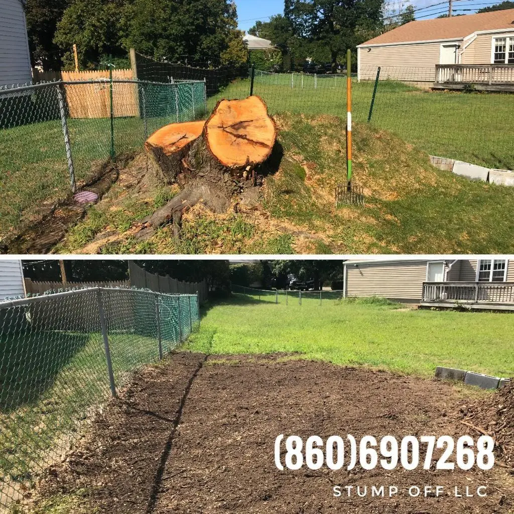 Stump grinding in Suffield