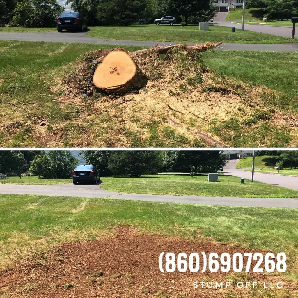 Stump removal in CT
