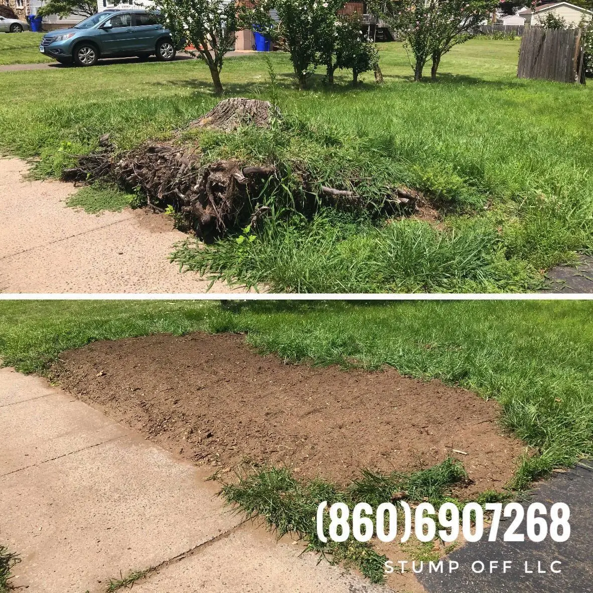 Stump removal in West Springfield
