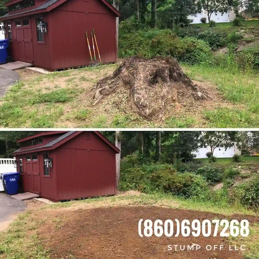Stump "OFF" LLC Stump Grinding gallery 6