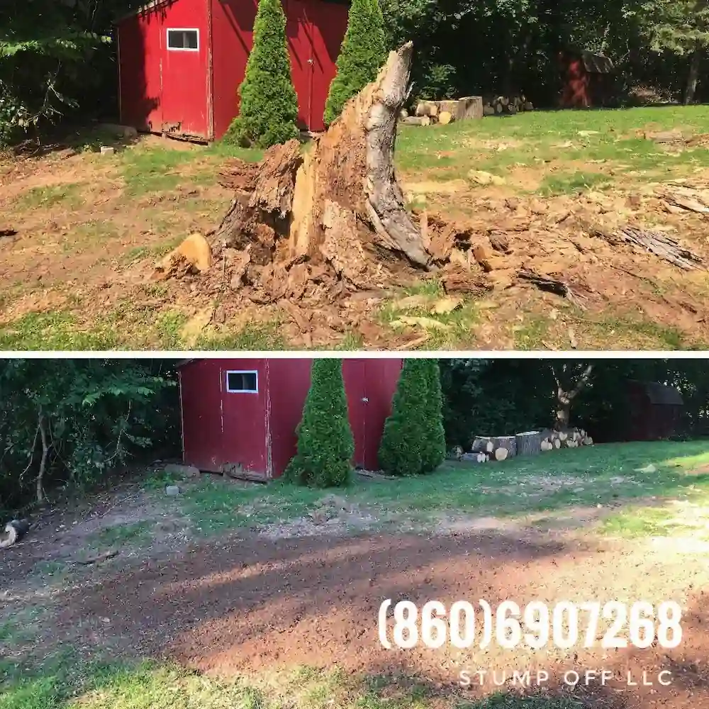 Stump "OFF" LLC Stump Grinding gallery 7