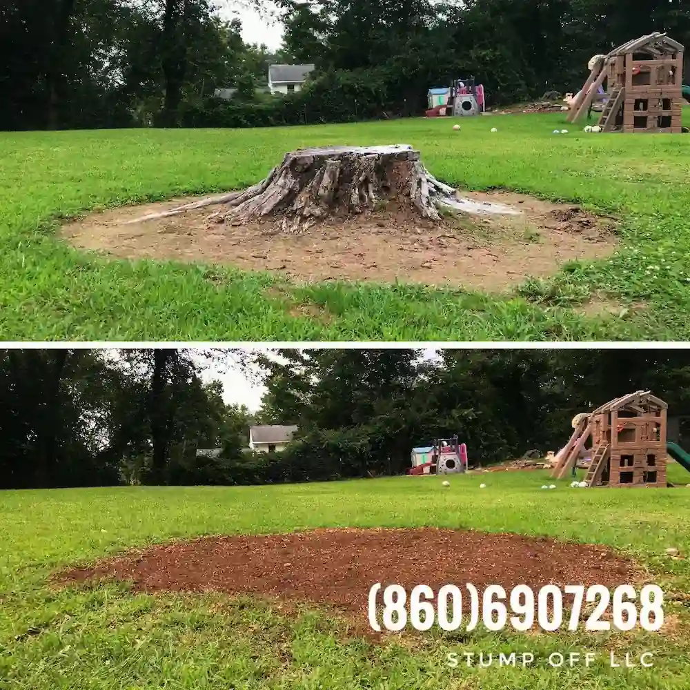 Stump "OFF" LLC Stump Grinding gallery 8