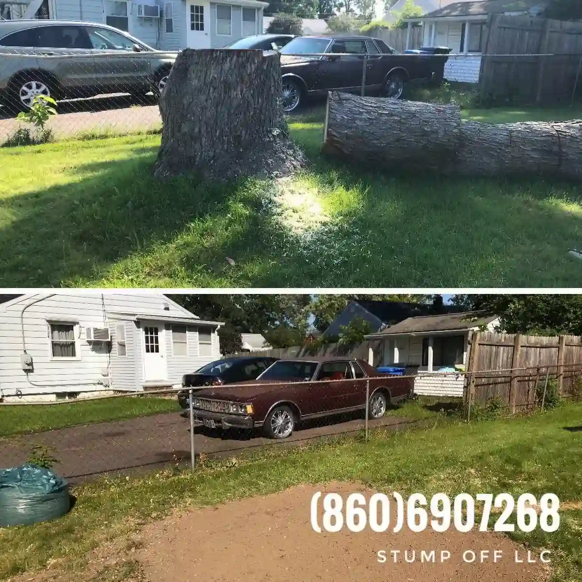 Stump "OFF" LLC Stump Grinding gallery 4
