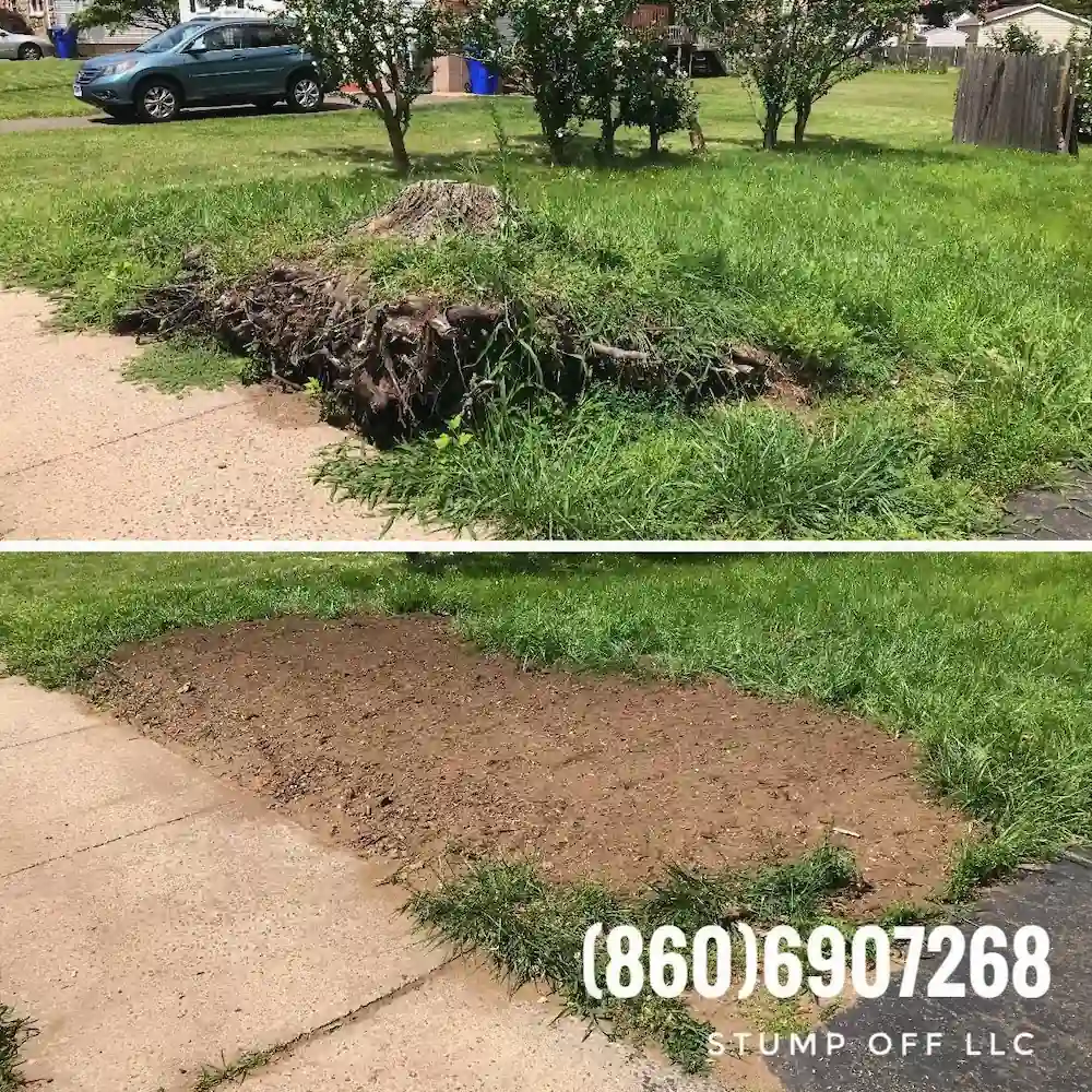 Stump "OFF" LLC Stump Grinding gallery 5